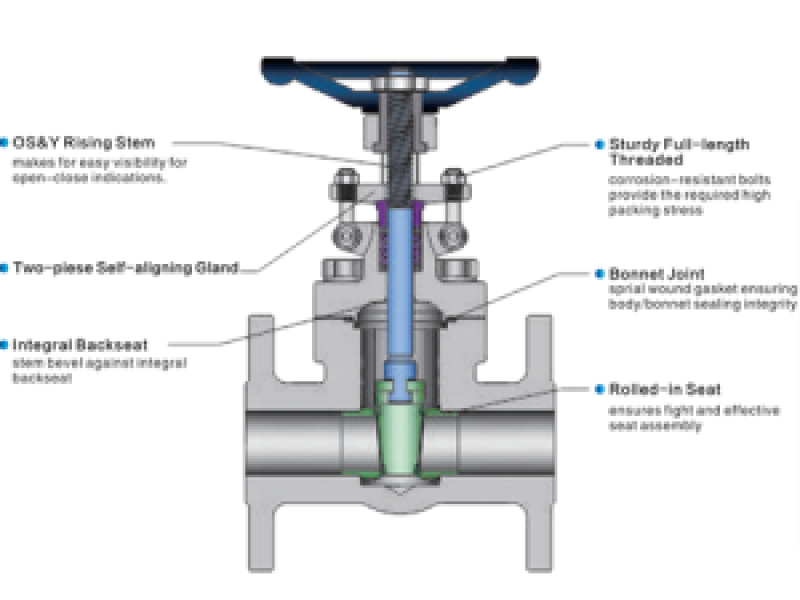 API-602-Forged-Steel-Gate-Valve-300x258